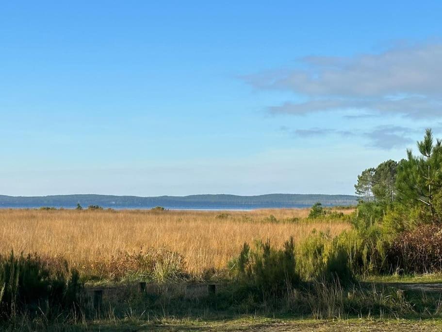 Maison Proche Du Lac ! Hourtin Zewnętrze zdjęcie
