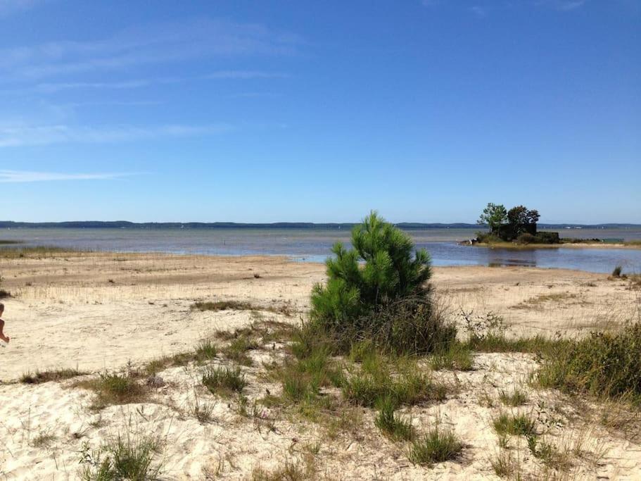 Maison Proche Du Lac ! Hourtin Zewnętrze zdjęcie